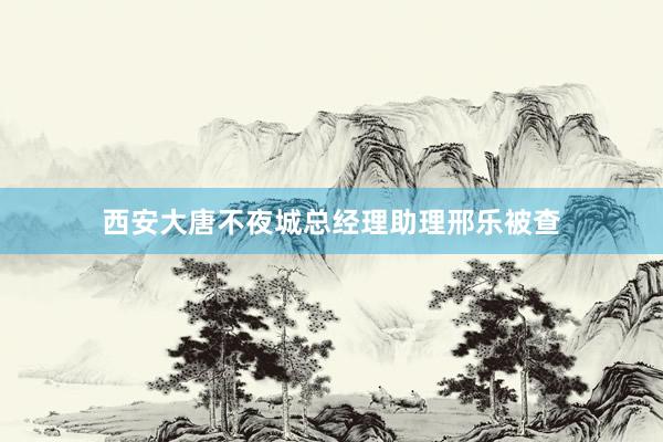 西安大唐不夜城总经理助理邢乐被查