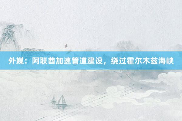 外媒：阿联酋加速管道建设，绕过霍尔木兹海峡