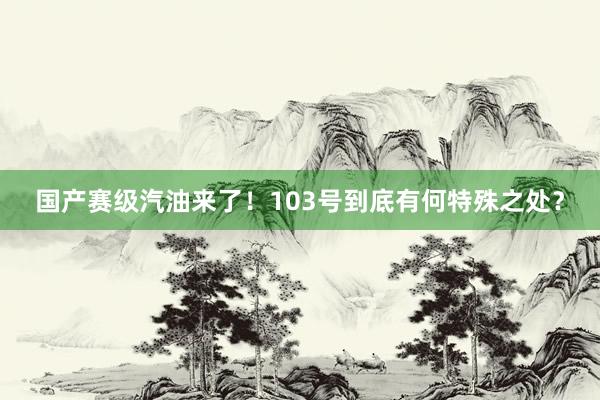 国产赛级汽油来了！103号到底有何特殊之处？
