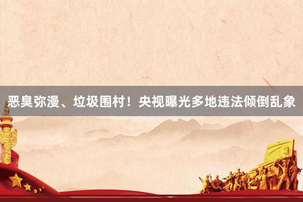 恶臭弥漫、垃圾围村！央视曝光多地违法倾倒乱象