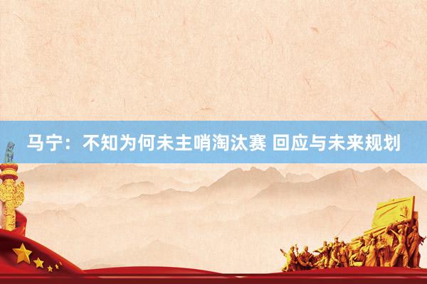 马宁：不知为何未主哨淘汰赛 回应与未来规划